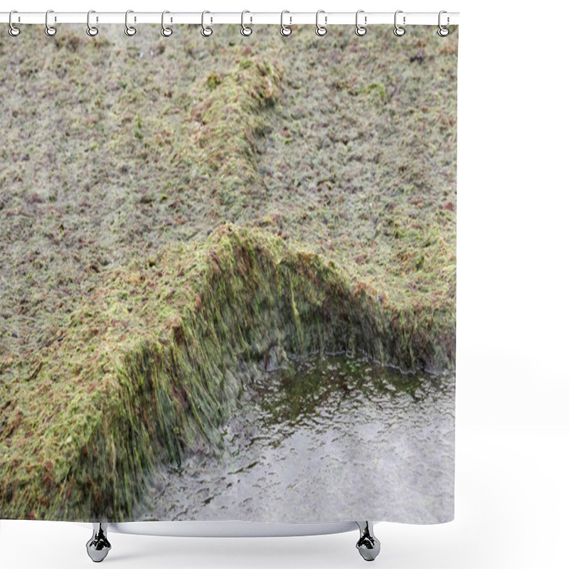 Personality  A Thick Layer Of Green Seaweed Has Accumulated On The Baltic Coast. This Seasonal Phenomenon Is Visible On The Coastline In Kolobrzeg Shower Curtains