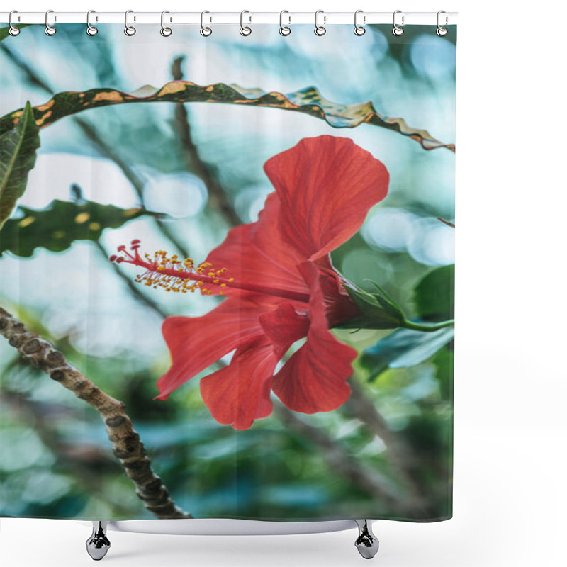 Personality  Close Up View Of Red Hibiscus Flower On Green Plant Shower Curtains