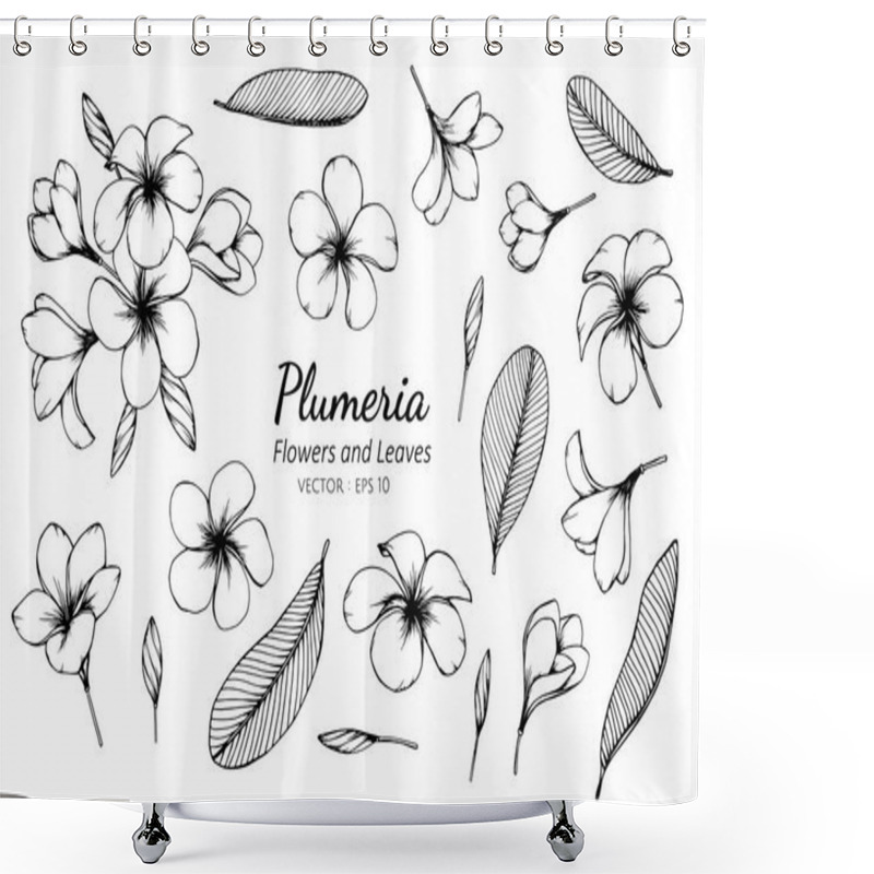 Personality  Collection Set Of Plumeria Flower And Leaves Drawing Illustratio Shower Curtains