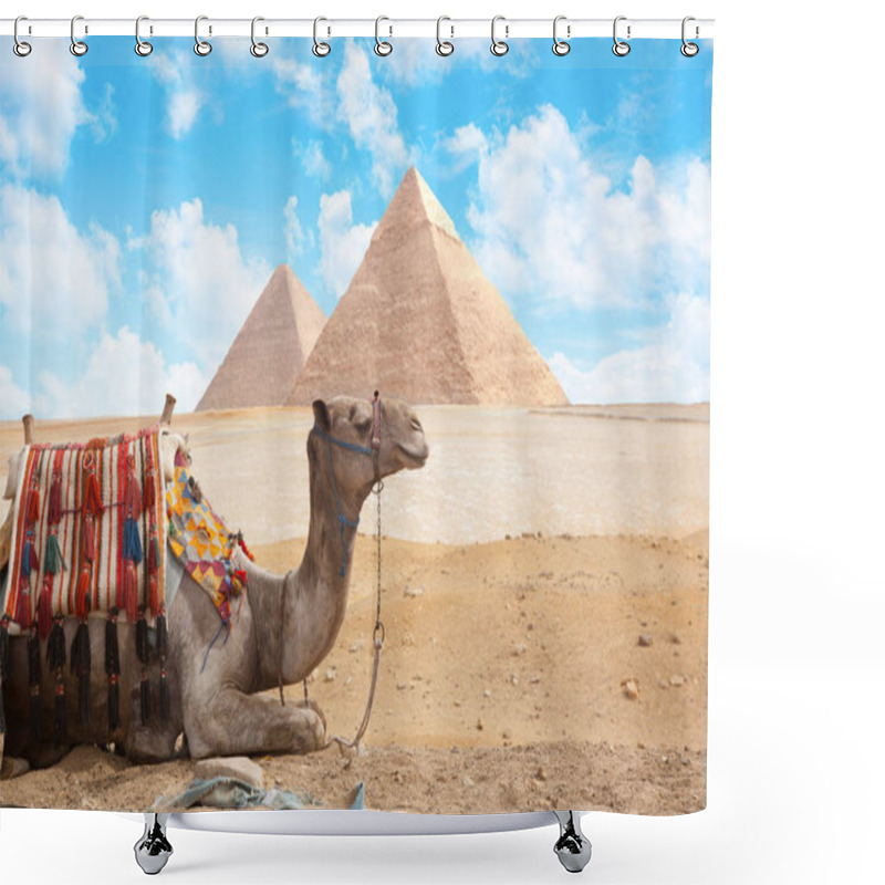 Personality  Egypt Cairo - Giza Shower Curtains