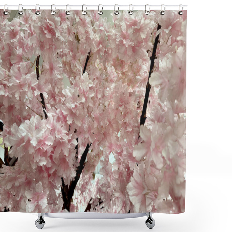 Personality  Close Up Photo Of White Pink Sakura Flowers From The Tree Branch. Sakura Or Cherry Blossom Is Often Related To Japan And Korea Blooms Around Spring Season. Shower Curtains