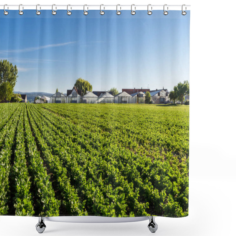 Personality  Vegetable Field And Greenhouses, Reichenau Island, Lake Constance, Baden-Wuerttemberg, Germany Shower Curtains