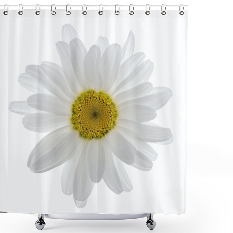 Personality  Leucanthemum Shower Curtains