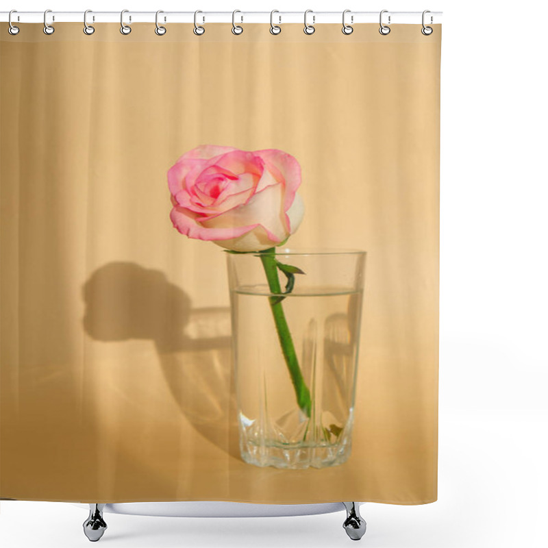 Personality  Tender Pink Rose On Vase On Beige Background. Deep Shadows Minimal Composition. Abstract Art Idea. Romantic Pastel Pink Rose Flower. Modern Aesthetic. Neutral Earth Tones Vertical Shower Curtains