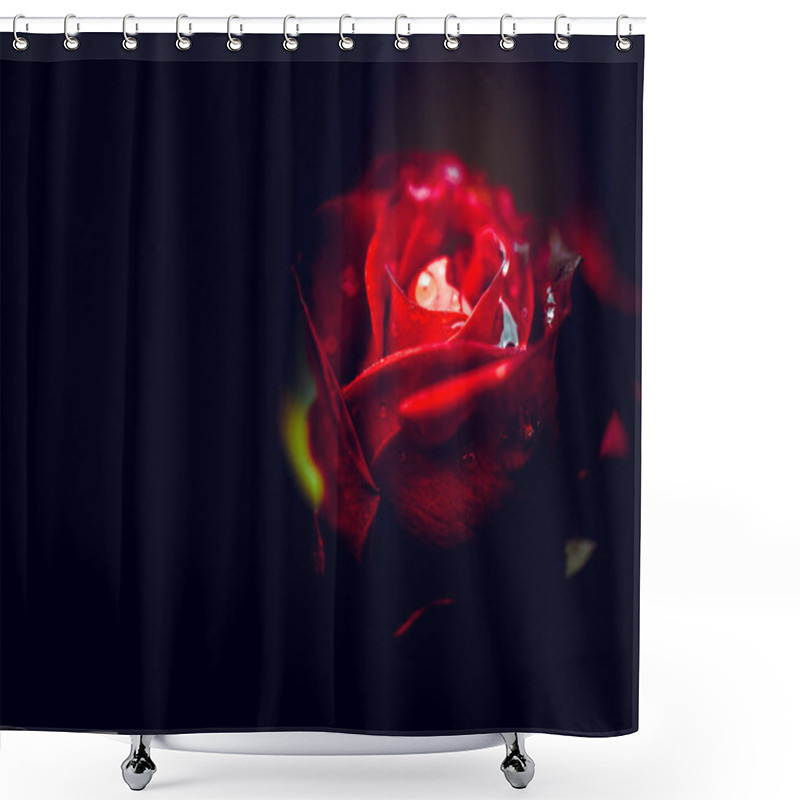 Personality  Flowers In Nature During Daytime Shower Curtains