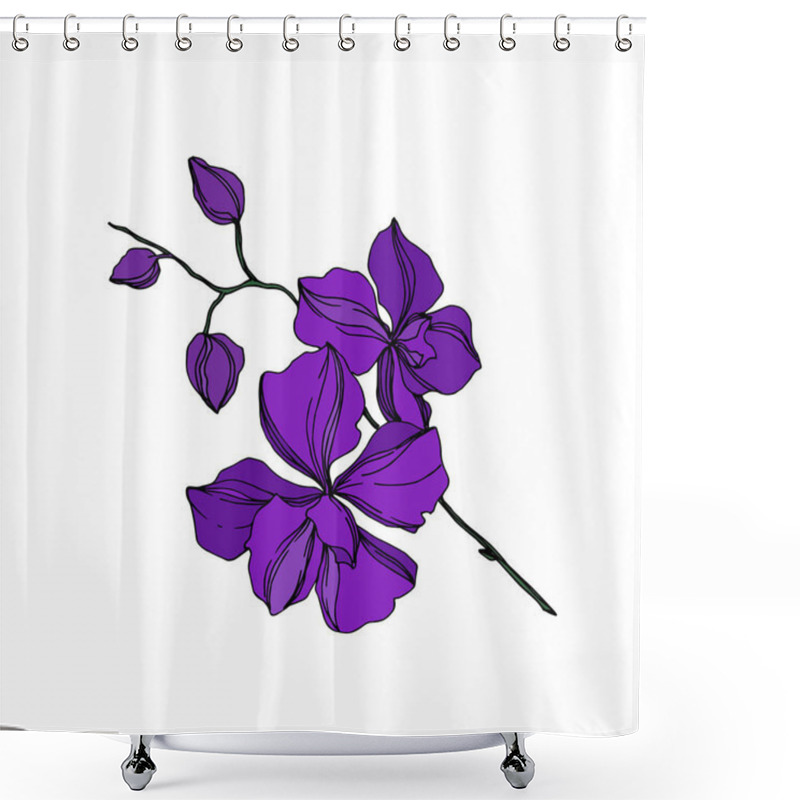 Personality  Vector Orchid Floral Botanical Flowers. Black And Purple Engraved Ink Art. Isolated Orchids Illustration Element. Shower Curtains