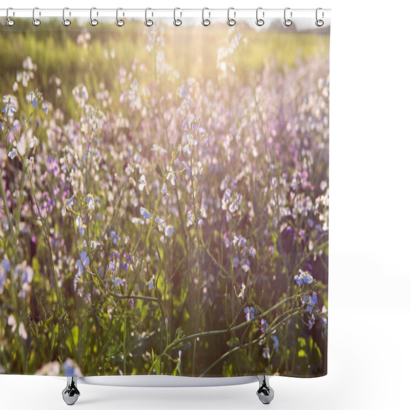 Personality  Beautiful Meadow Flowers In The Sunset Light Background Shower Curtains