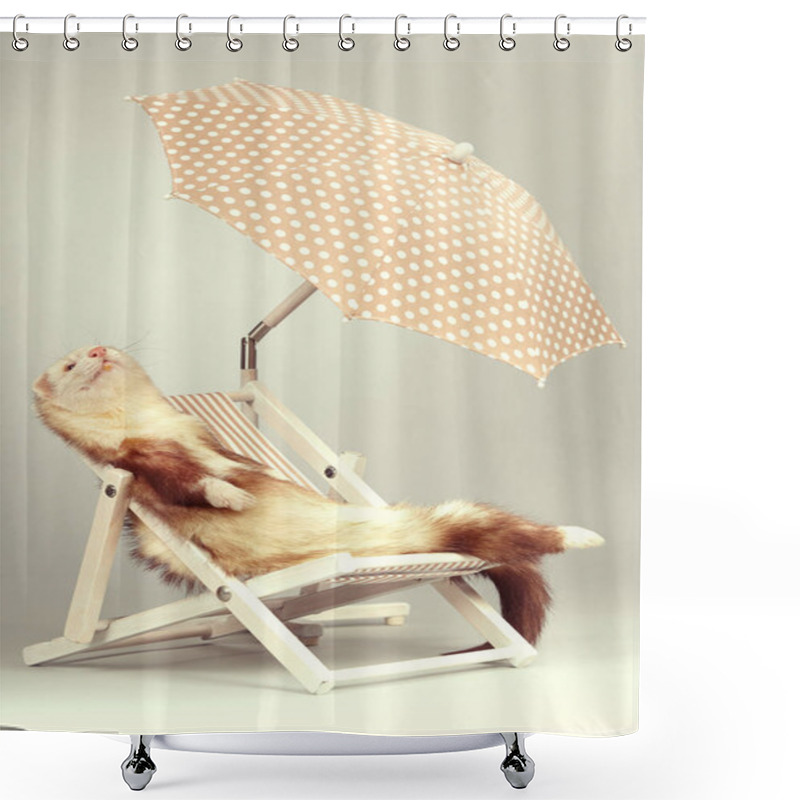 Personality  Lovely Champagne Ferret Male On Beach Chair In Studio Shower Curtains