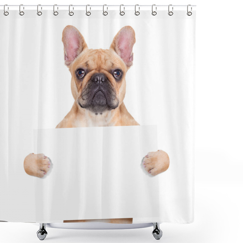 Personality  Banner Placard Dog Shower Curtains