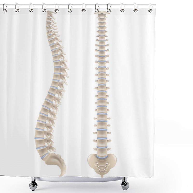 Personality  Spine Bones Isolated On White Photo-realistic Vector Illustration Shower Curtains