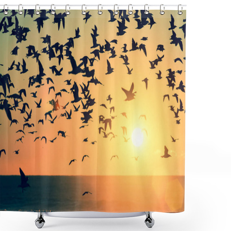 Personality  Birds Over Atlantic Ocean Shower Curtains