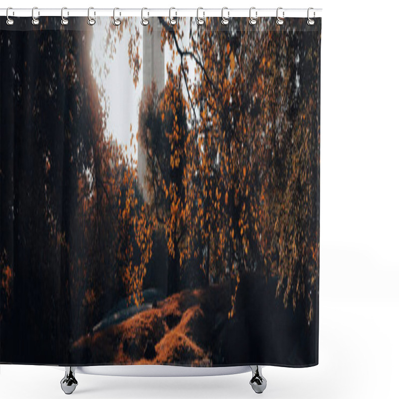 Personality  Central Park In New York City With Trees And Lawn In Autumn, Banner Shower Curtains