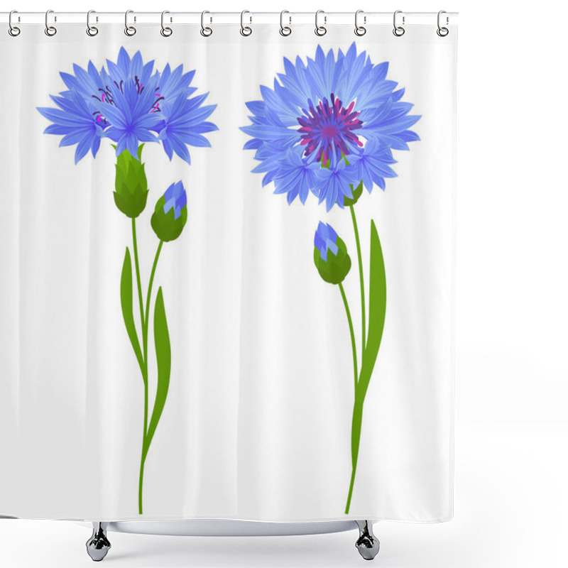 Personality  Gentle Wildflowers. Cornflowers, Leaves And Buds. Cartoon Drawings Set. Vector Illustration. Shower Curtains