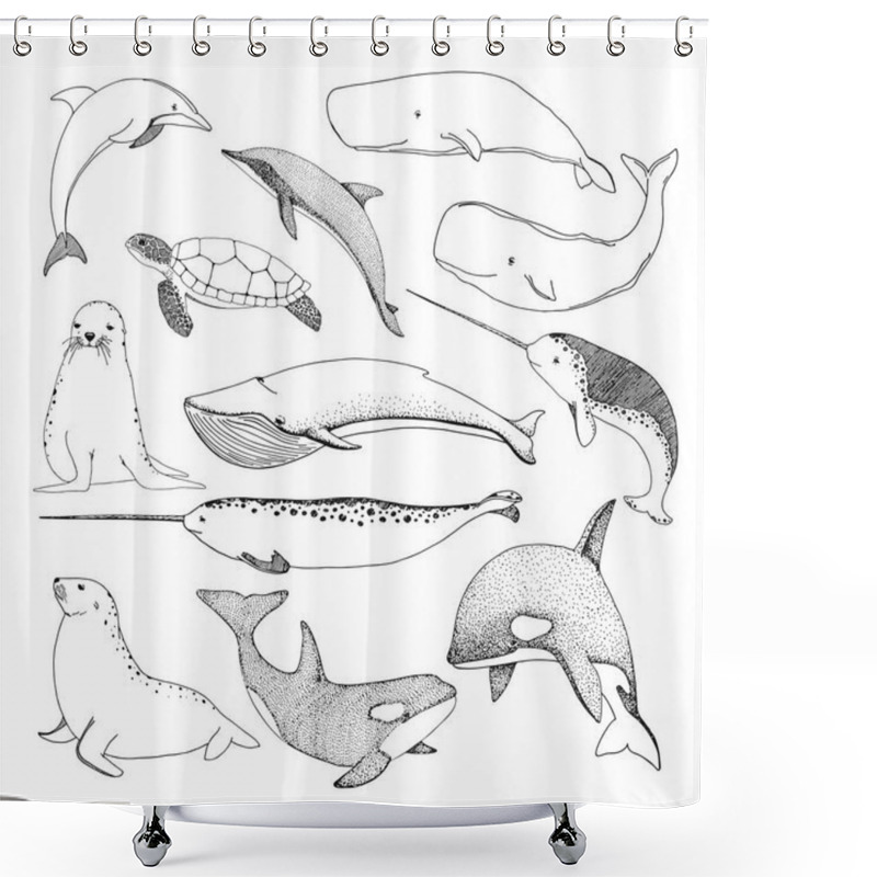 Personality  Sketch Various Sea Creatures. Turtle, Whale, Walrus, Dolphin And Others. Vector Shower Curtains