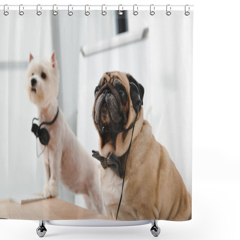 Personality  Business Dogs With Headsets Shower Curtains