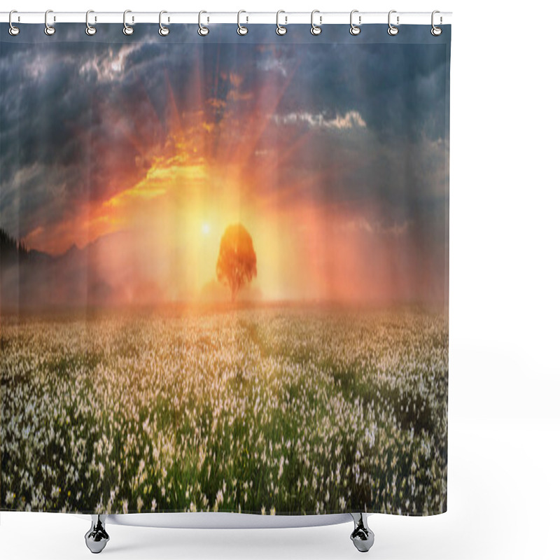 Personality  Narcissus Valley In Hust Shower Curtains