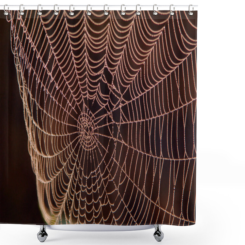 Personality  Spider Web Shower Curtains