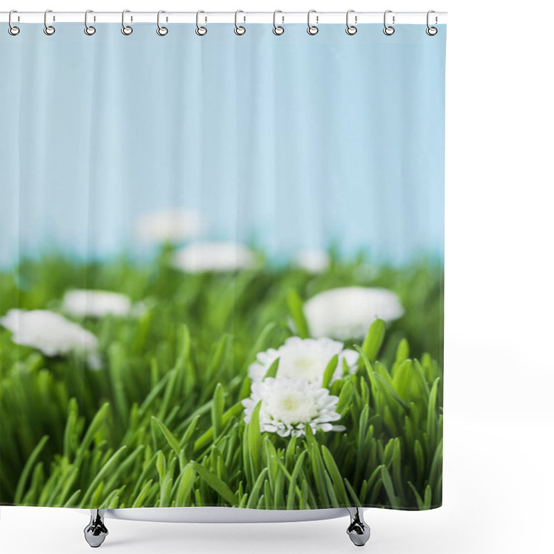 Personality  Camomiles And Green Grass Isolated On Blue  Shower Curtains