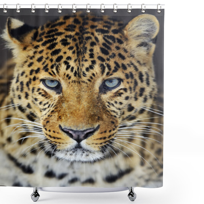 Personality  Leopard Shower Curtains