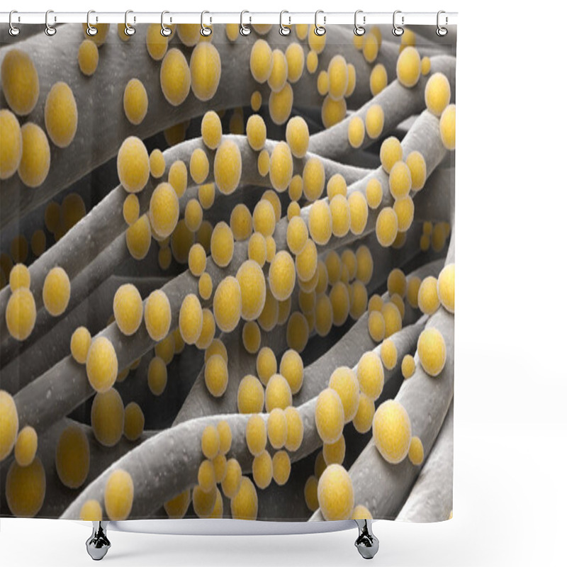 Personality  Staphylococcus Aureus MRSA Shower Curtains