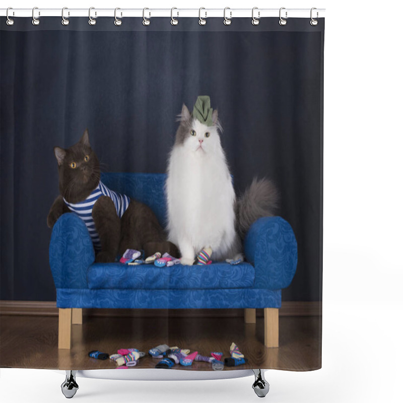 Personality  Two Cats Choose Socks Sitting On The Couch Shower Curtains