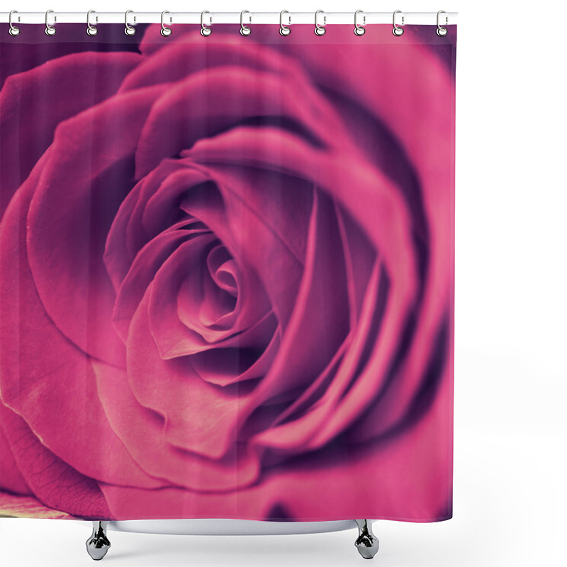 Personality  Beautiful Pink Rose Shower Curtains