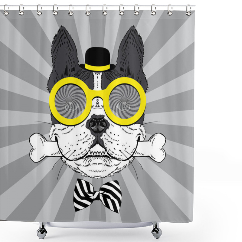 Personality  Portrait Of Happy French Bulldog In Bowler Hat, Big Round Glasses And Striped Bow With Bone Shower Curtains