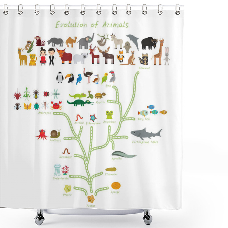 Personality  Evolution In Biology, Scheme Evolution Of Animals Isolated On White Background. Children's Education, Science. Evolution Scale From Unicellular Organism To Mammals. Back To School. Vector Illustration Shower Curtains