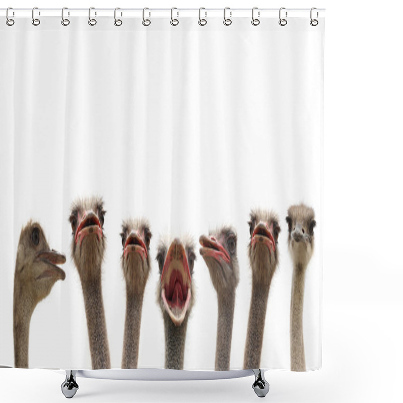 Personality  Ostrich Heads Shower Curtains