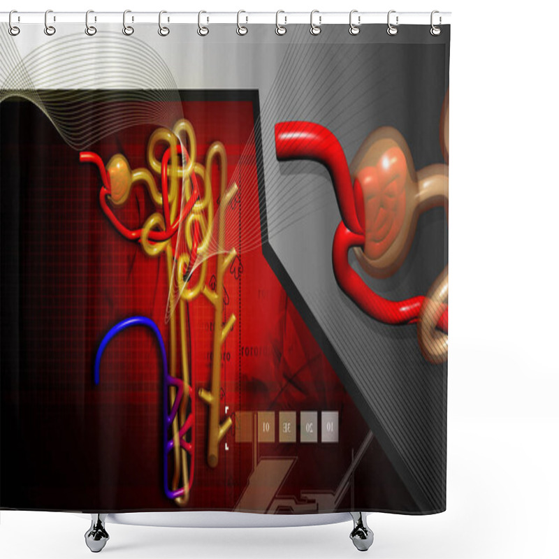 Personality  Digital Illustration Of  Nephron   In  Colour Background	 Shower Curtains