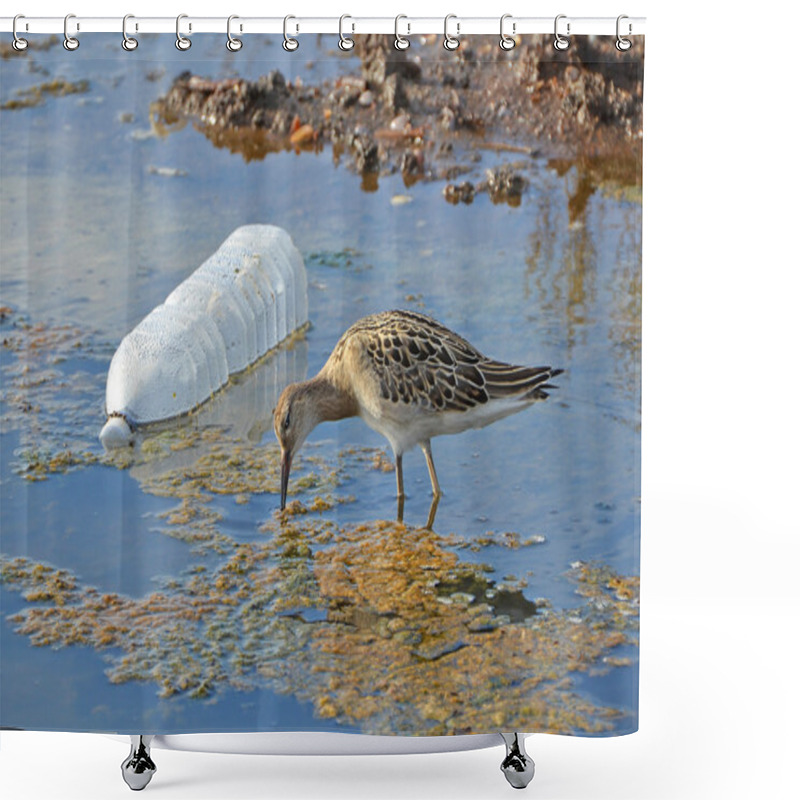 Personality  Sandpiper And Plastic Bottle Shower Curtains