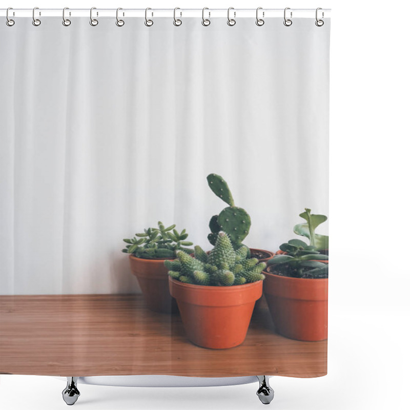 Personality  Small Succulents In Terracotta Pots On A Wooden Desk Against A White Background Shower Curtains