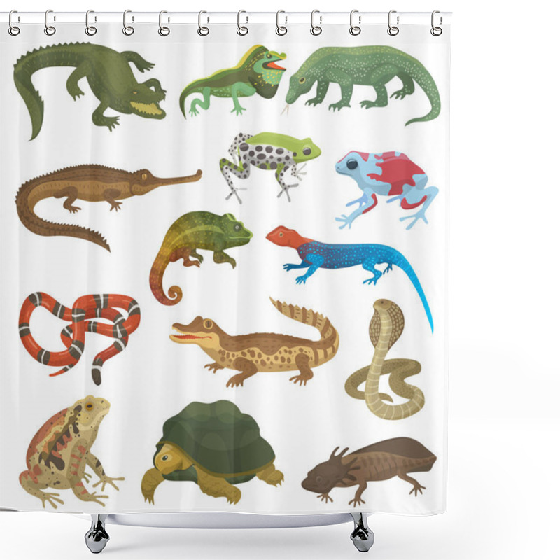 Personality  Vector Reptile Nature Lizard Animal Wildlife Wild Chameleon, Snake, Turtle, Crocodile Illustration Of Reptilian Isolated On White Background Green Amphibian Shower Curtains