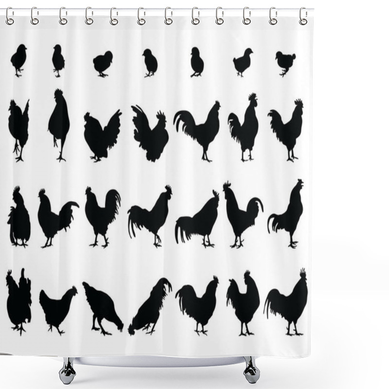 Personality  Black Silhouettes Of Roosters, Hens And Chickens On A White Background Shower Curtains