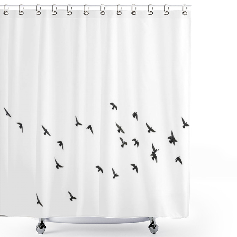 Personality  Flocks Of Flying Pigeons Isolated On White Background. Save With Clipping Path. Shower Curtains