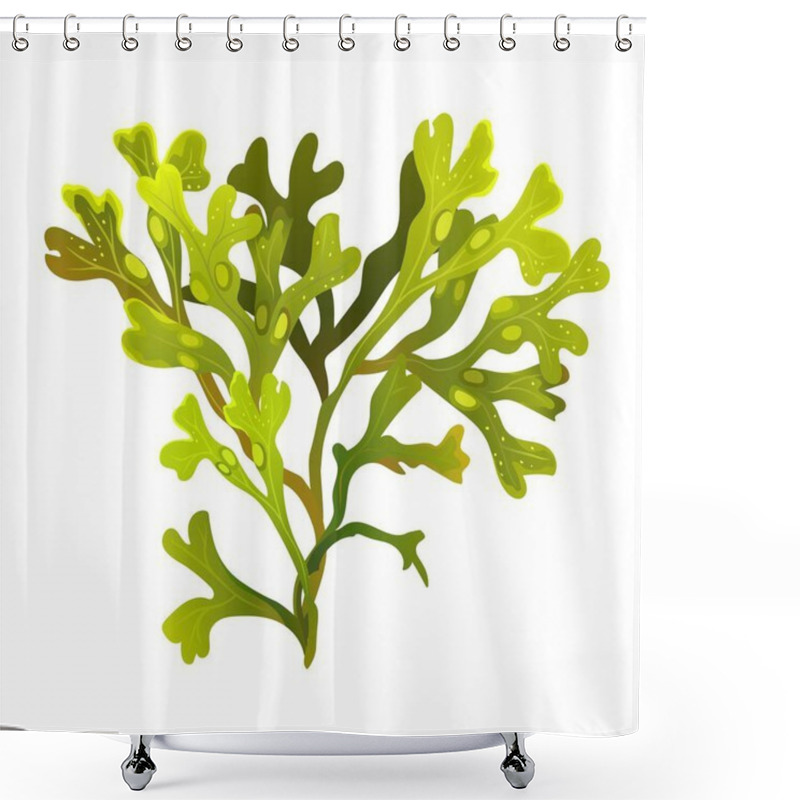 Personality  Algae Fucus Isolated On White. Bladderwrack. Vesiculosus. Vector Illustration Shower Curtains