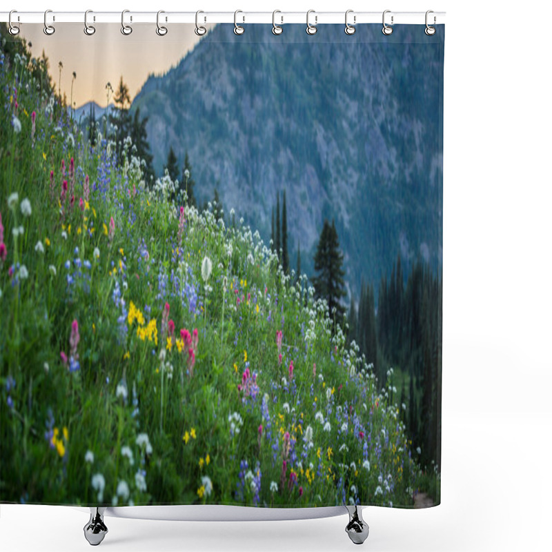 Personality  Tipso Lake Naches-peak Loop Shower Curtains