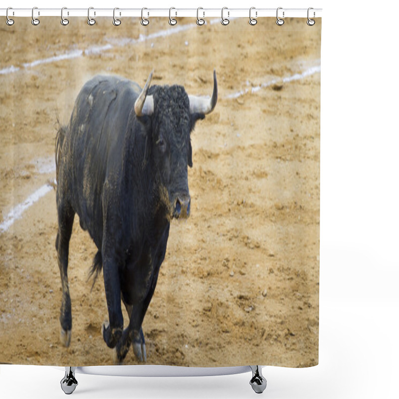 Personality  Spanish Bulls (toros Bravos) In Guadalajara Province, Castilla L Shower Curtains