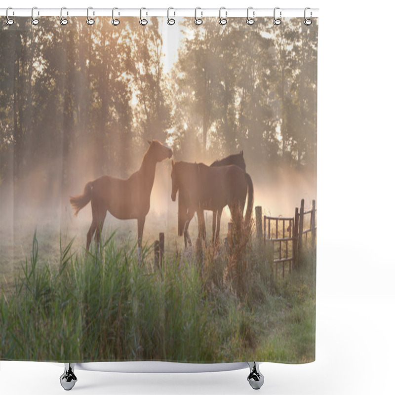 Personality  Horses In Mist At Sunrise Shower Curtains