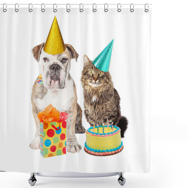 Personality  Birthday Party Cat And Dog Shower Curtains