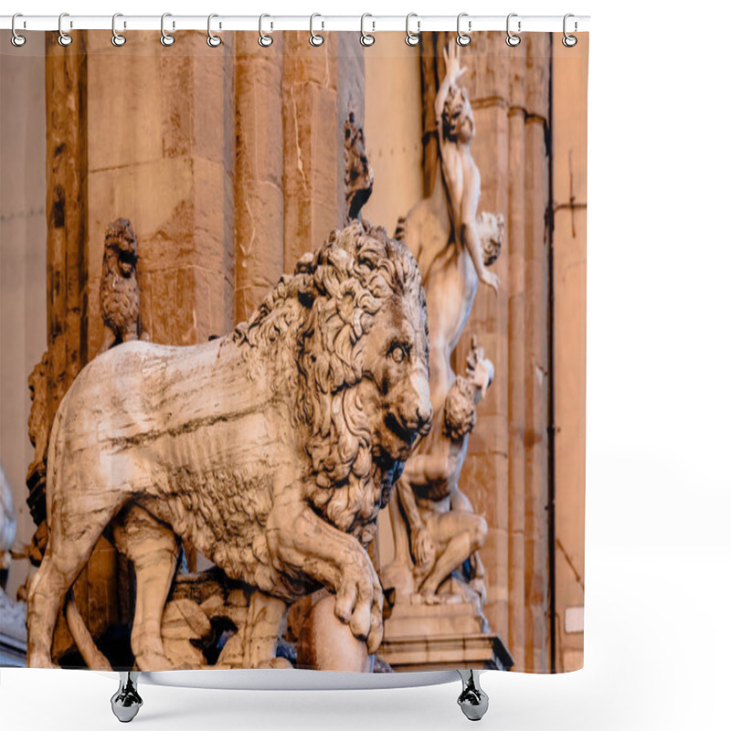 Personality  Lion Shower Curtains