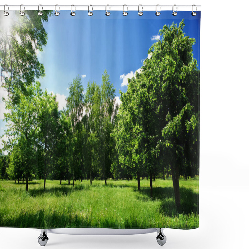 Personality  Green Glade In Forest Shower Curtains