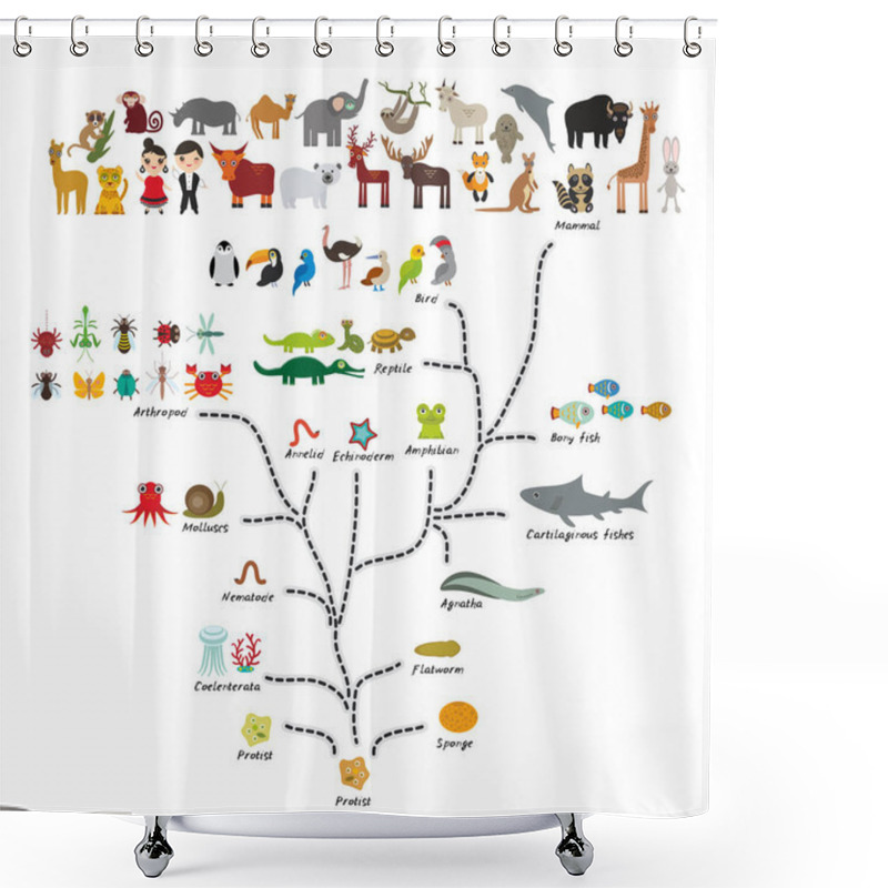 Personality  Evolution In Biology, Scheme Evolution Of Animals Isolated On White Background. Children's Education, Science. Evolution Scale From Unicellular Organism To Mammals. Back To School. Vector Illustration Shower Curtains