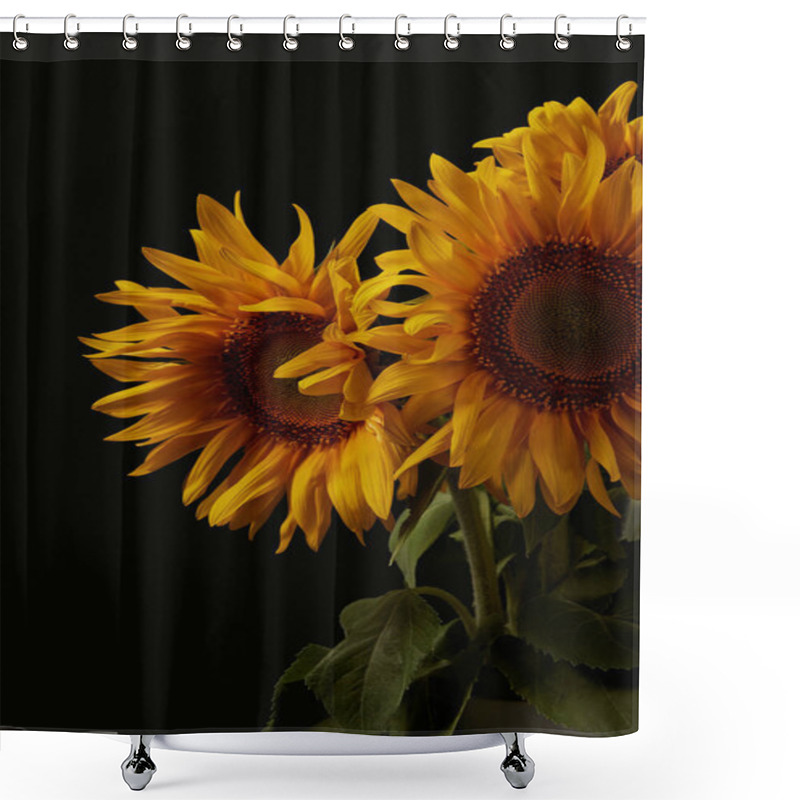 Personality  Summer Bouquet With Beautiful Orange Sunflowers, Isolated On Black Shower Curtains