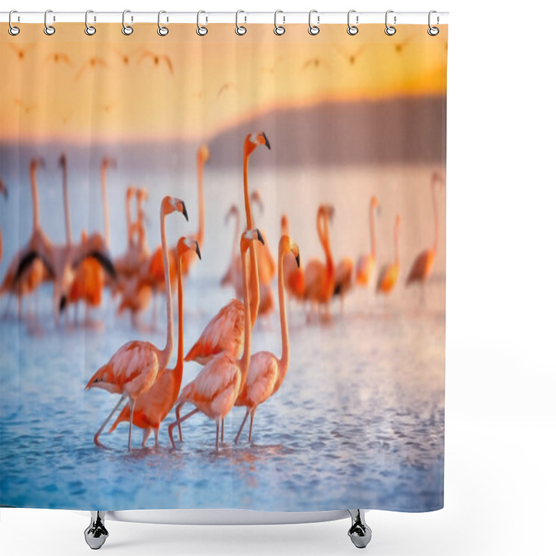 Personality  Pink Flamingos In Sun Shower Curtains