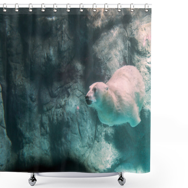 Personality  Polar Bear (Also Known As Thalarctos Maritimus Shower Curtains