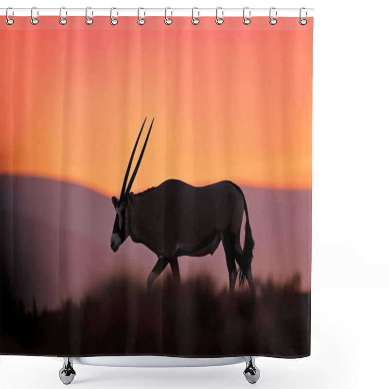 Personality  Oryx With Orange Evening Sunset. Gemsbok Large Antelope In Nature Habitat, Sossusvlei, Namibia. Wild Desert. Gazella Beautiful Iconic Gemsbok Antelope From Namib Desert, Sunrise Namibia. Shower Curtains