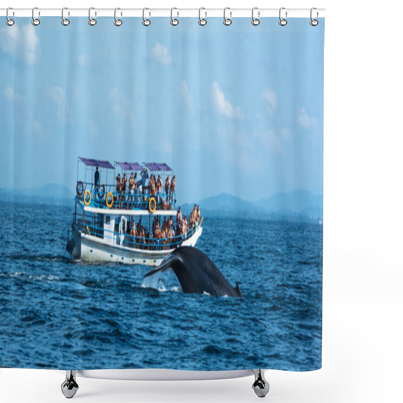 Personality  Big Blue Whales In Deep Ocean Shower Curtains