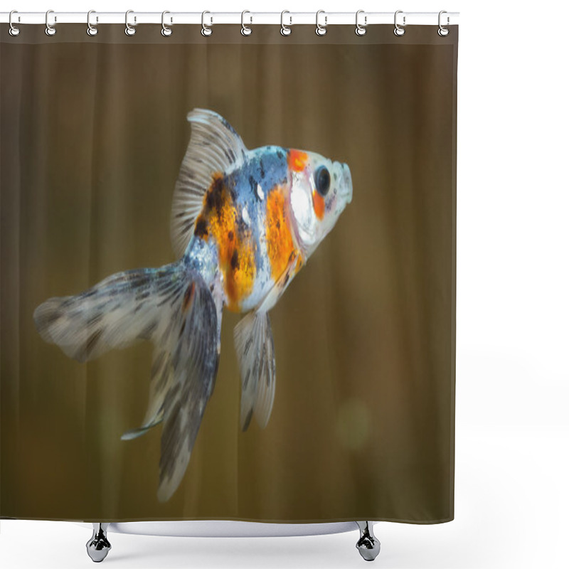 Personality  Goldfish In Aquarium With Green Plants, Snag And Stones Shower Curtains