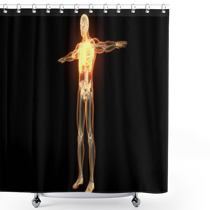 Personality  Human Skeleton System Rib Cage Bone Joints Anatomy. 3D Shower Curtains